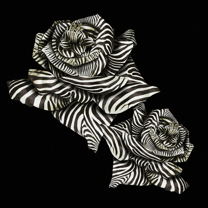 Tapet Tip Panel ROBERTO CAVALLI 8 - 19116