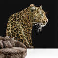  Tapet Dolce&Gabbana TCW001 TCAI5 UL005 