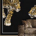  Tapet Dolce&Gabbana TCW001 TCAI5 UL007 