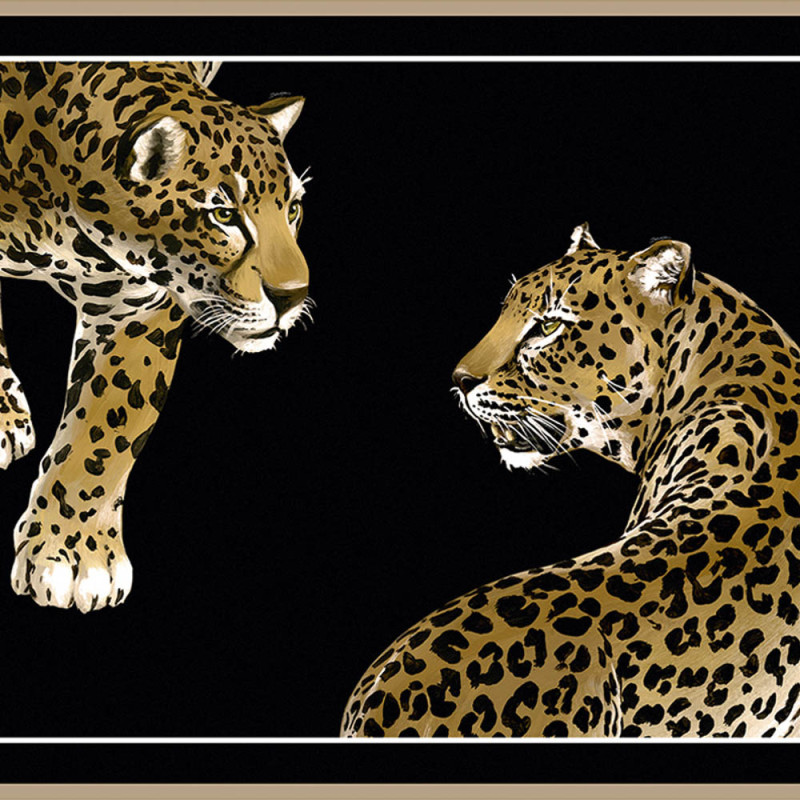  Tapet Dolce&Gabbana TCW001 TCAI5 UL007 