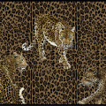  Tapet Dolce&Gabbana TCW001 TCAI5 UL033 